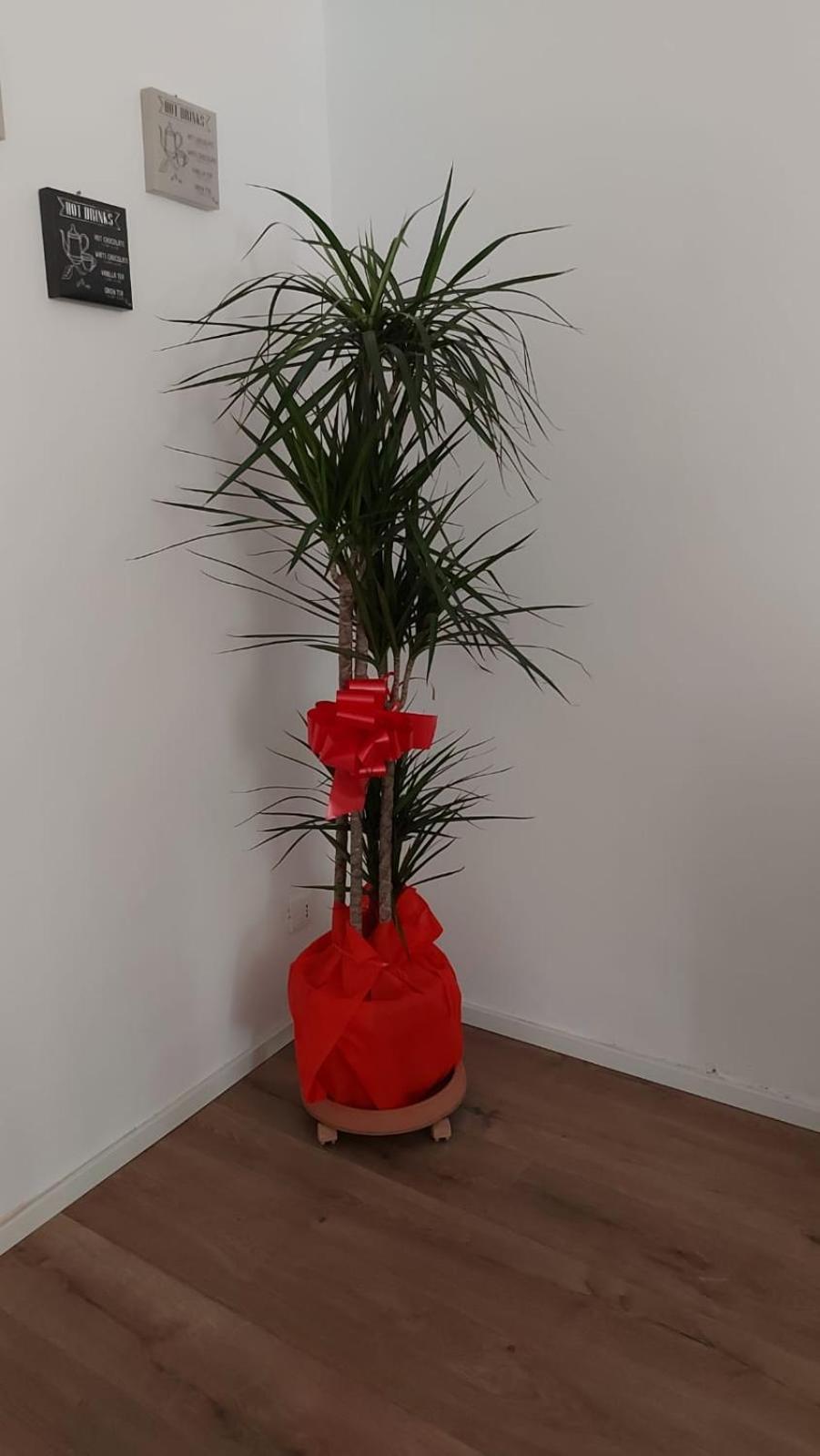 Apartmán A Casa Di Elena Palermo Exteriér fotografie